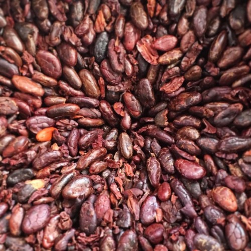 Cacao beans in the grinder at Diego's Chocolate, San Pedro La Laguna