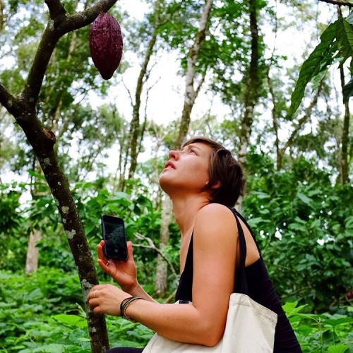 Mesmerised by the wondrous cacao!