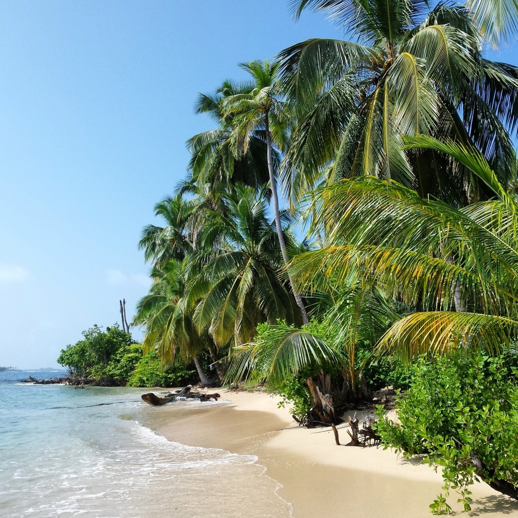 Beautiful San Blas Beach